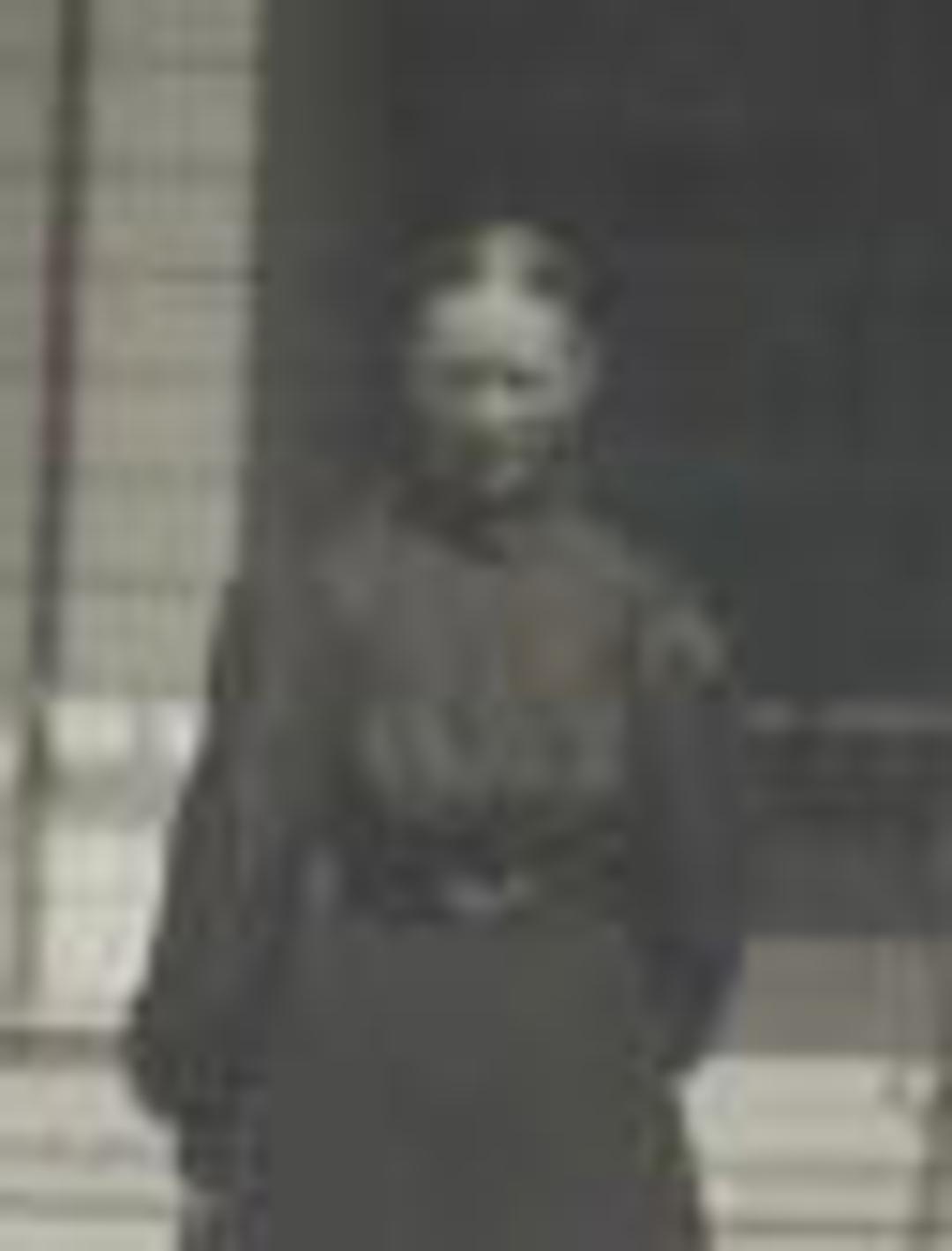 Harriet Ann Wood (1847 - 1944) Profile